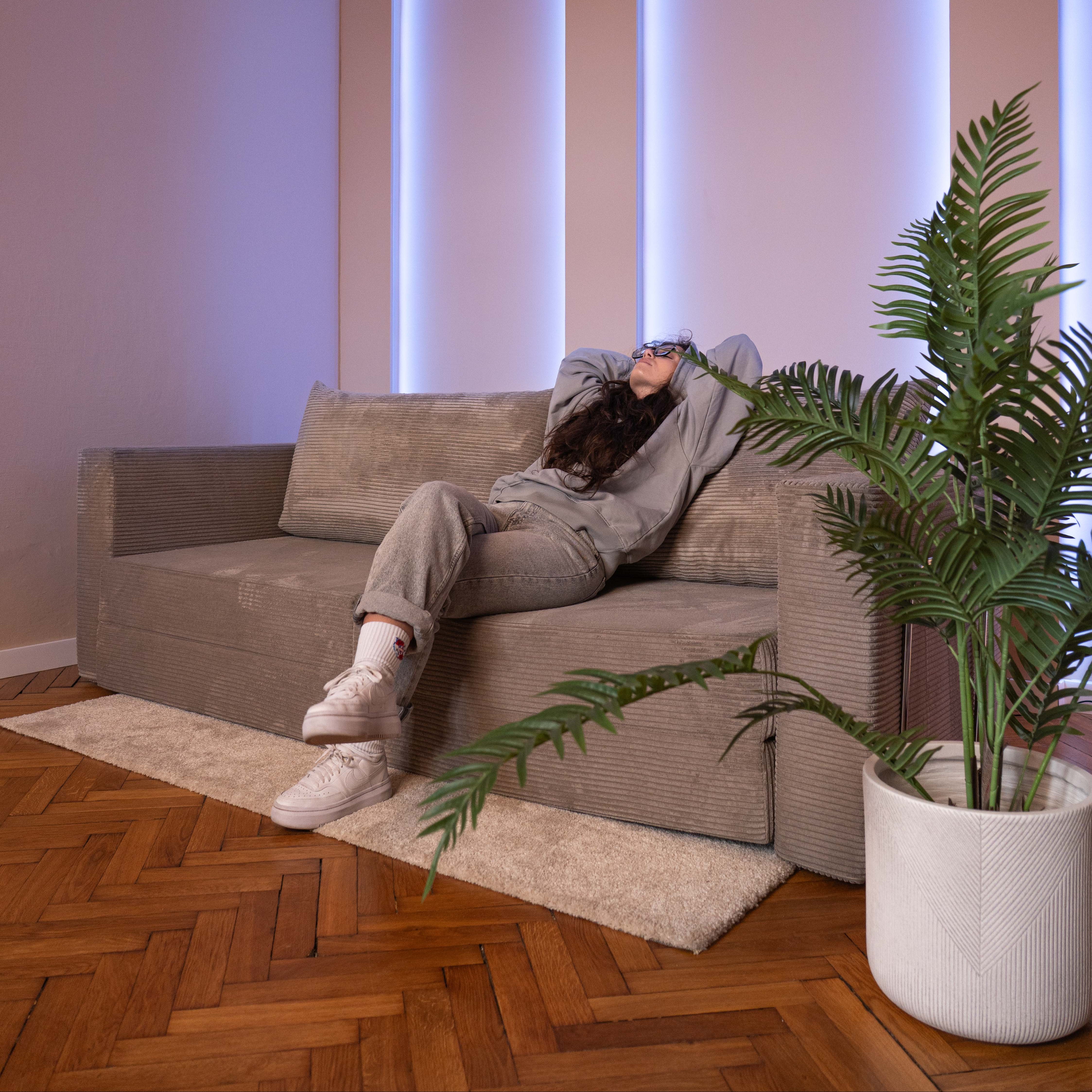 Flow Foam Sofa Bed